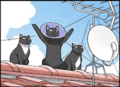 20131126..we are cats ufo summoning p4.png